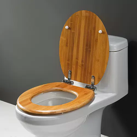 The material of the toilet seat
